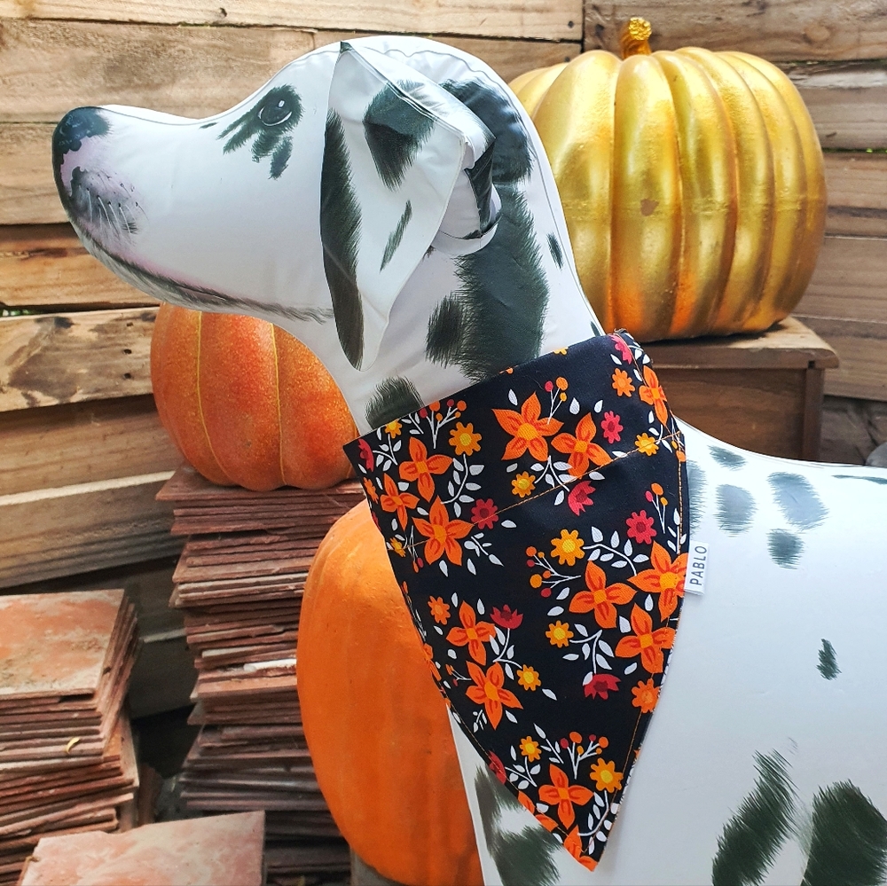 🐶 5 for $15 * Pablo Fall Floral Plaid Cotton Dog Bandana - Picture 3 of 8